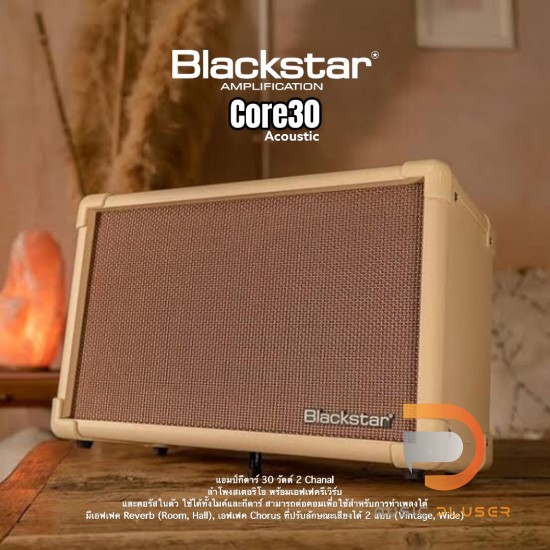Acoustic 2025 core 30